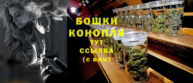 что такое   Снежинск  Канабис White Widow 